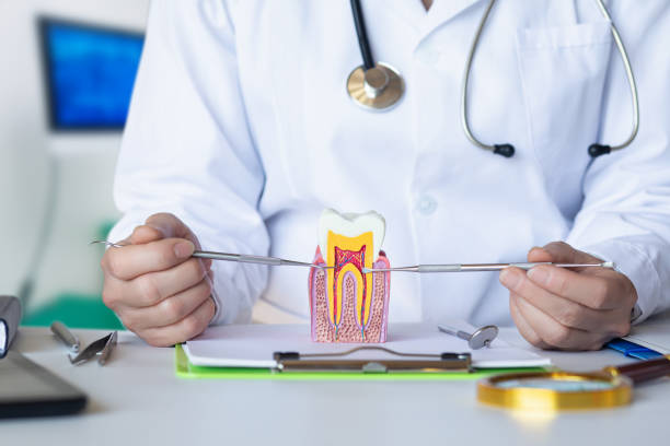 Best Pediatric Emergency Dentist in Sycamore, IL